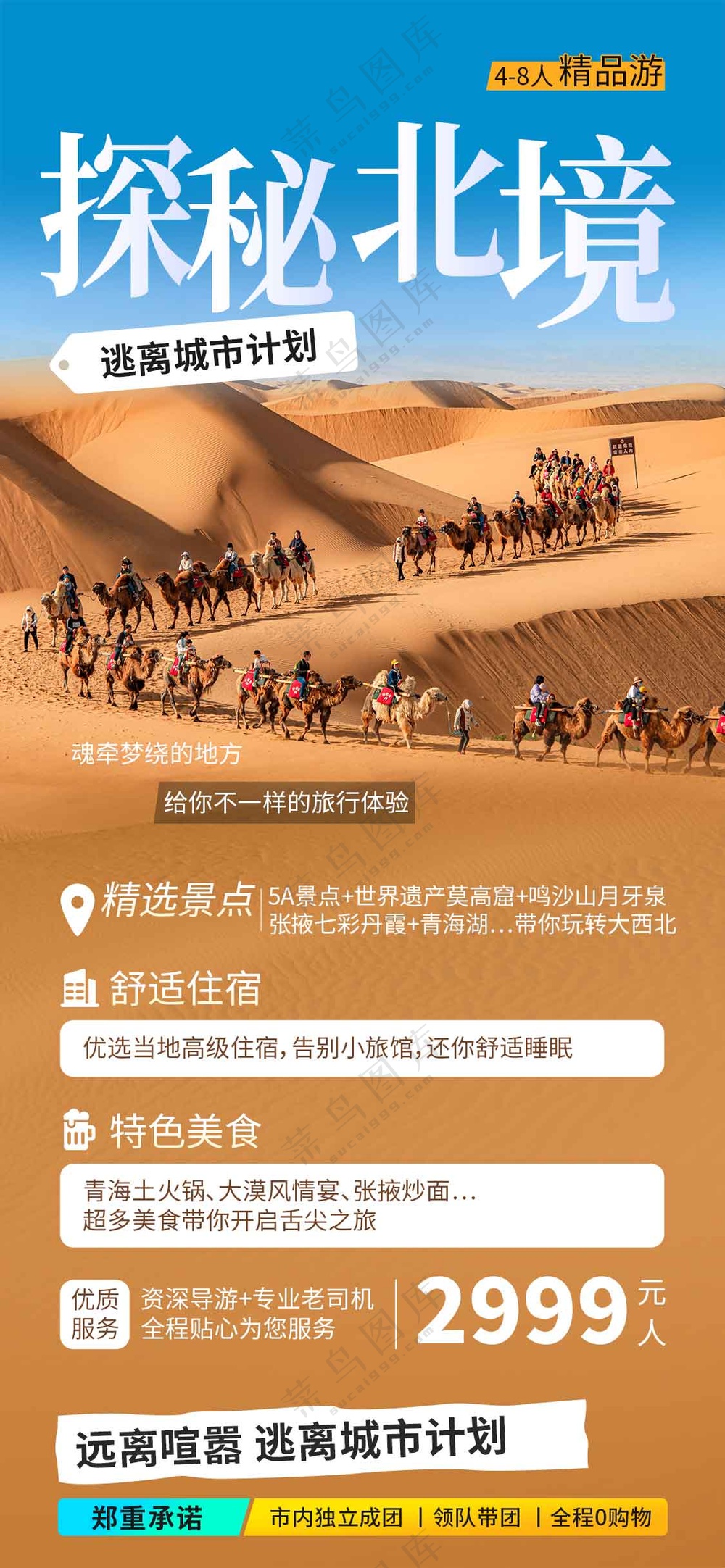 户外沙漠旅游旅行活动海报