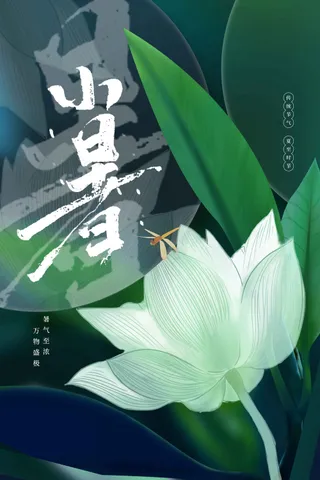 小暑节气传统海报