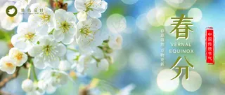 春分公众号首图
