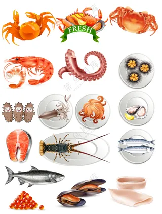 新鲜美食海鲜食材元素大合集