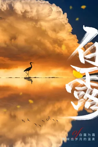 白露节气传统海报