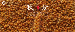 秋分公众号首图
