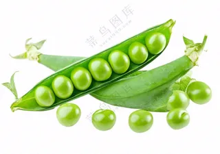 豌豆青豆蔬菜免抠