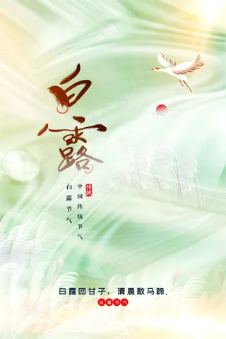 白露节气传统活动海报