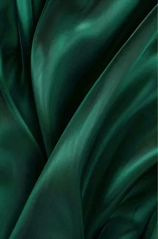 墨绿绿叶植物叶片插画端午节插画背景