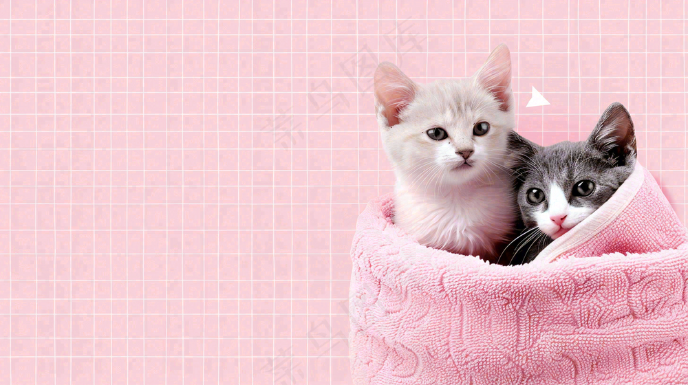 宠物常识宠物攻略猫狗卡通插画背景
