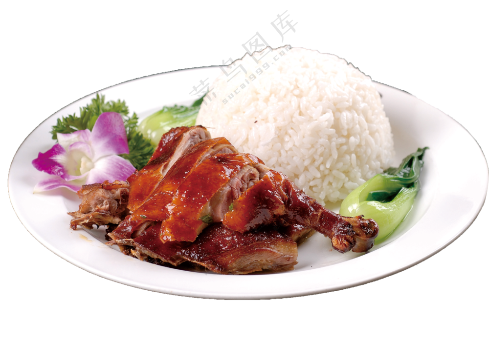 烧鸭饭图片