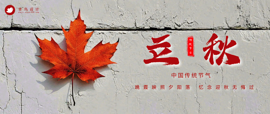 立秋公众号首图