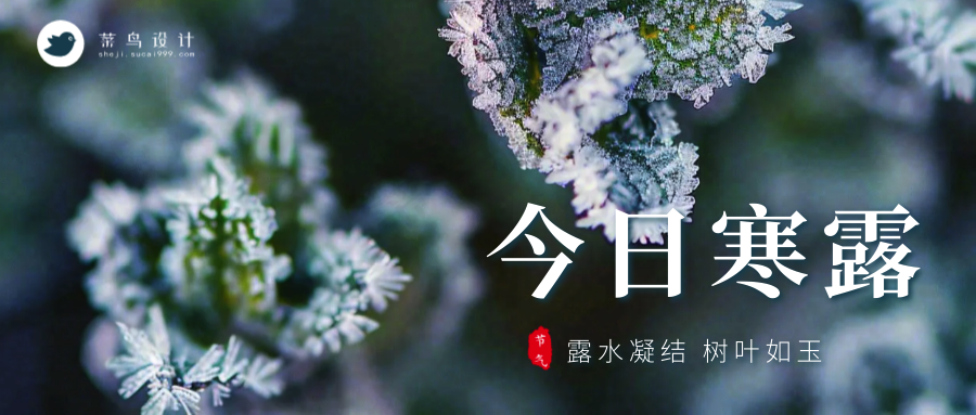 寒露公众号首图