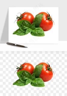 西红柿番茄圣女果png免抠