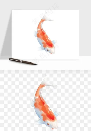 锦鲤鱼手绘水墨png免抠