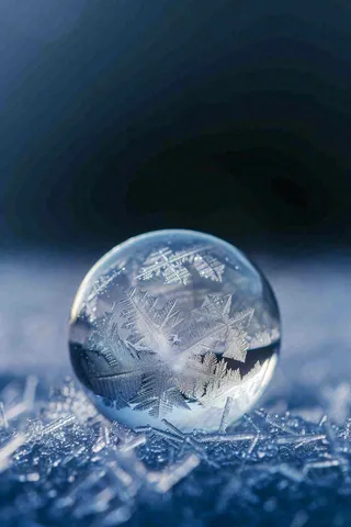 冬天结霜结冰的雪花霜降立冬摄影图