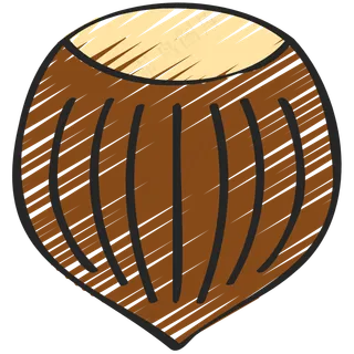 榛子 hazelnut 绿色健康食品 铅笔手绘图标icon