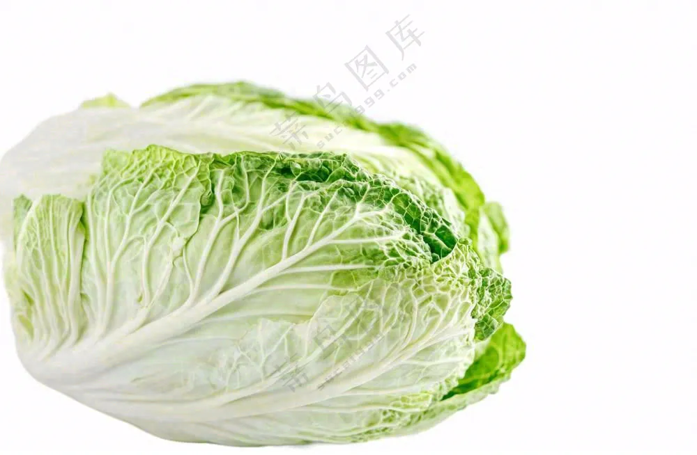 青菜蔬菜包菜免抠