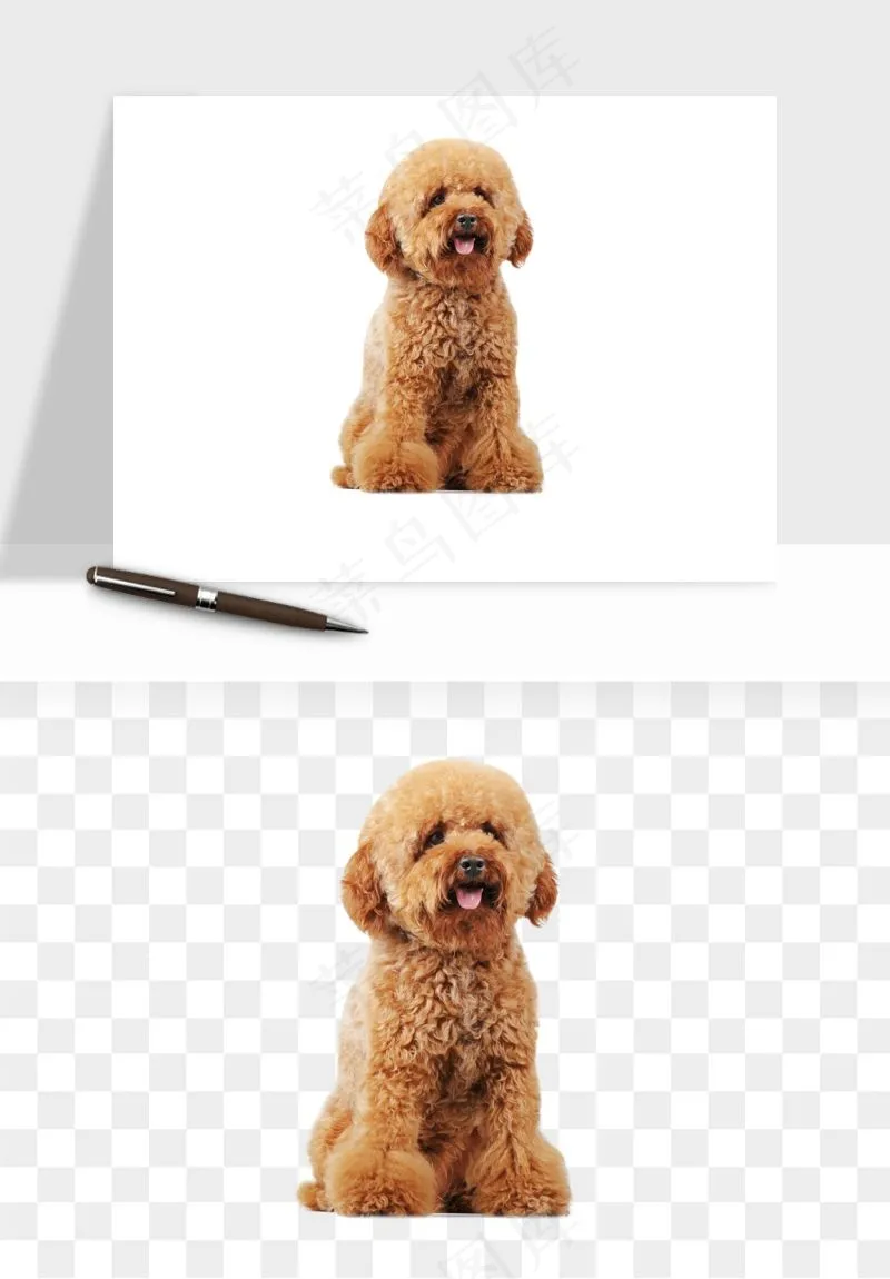 猫咪喵星人狗狗宠物元素png免抠