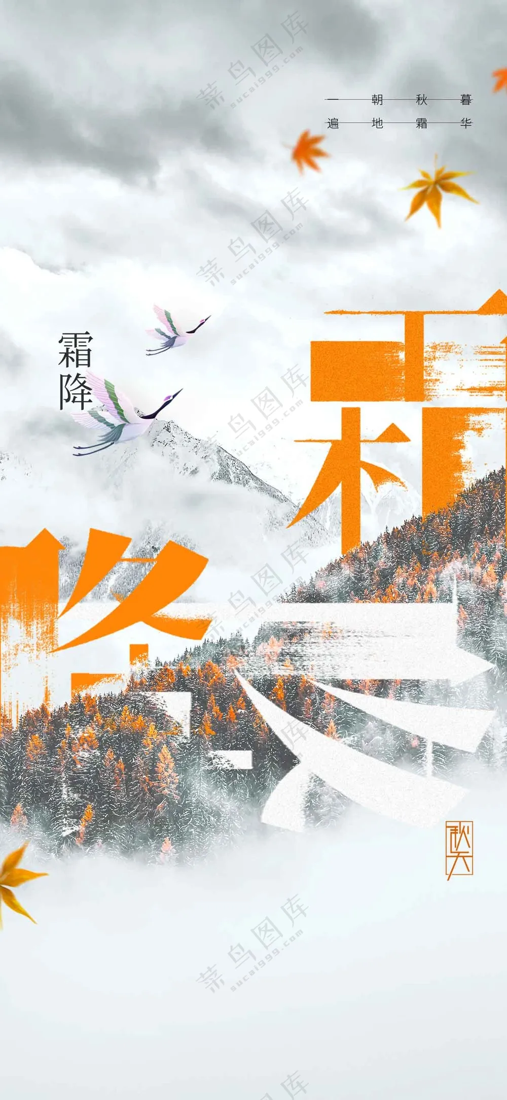 霜降节气传统活动宣传海报