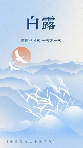 白露节气传统活动海报