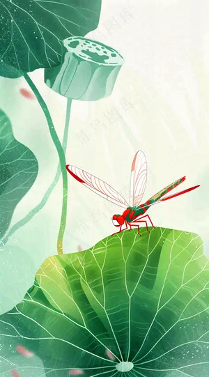 夏天荷花荷叶清凉小清新淡雅小暑大暑处暑插画背景
