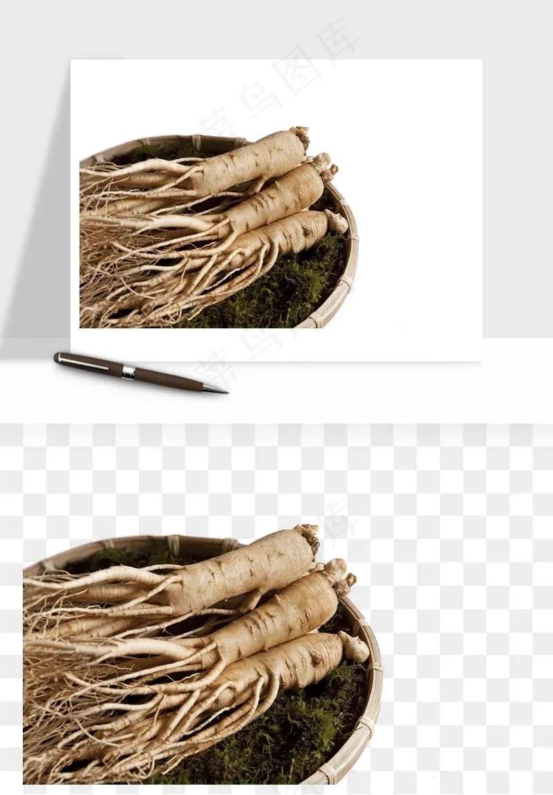 人参养生药材png免抠