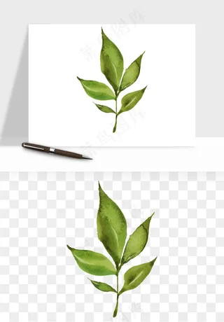 清新手绘植物png免抠