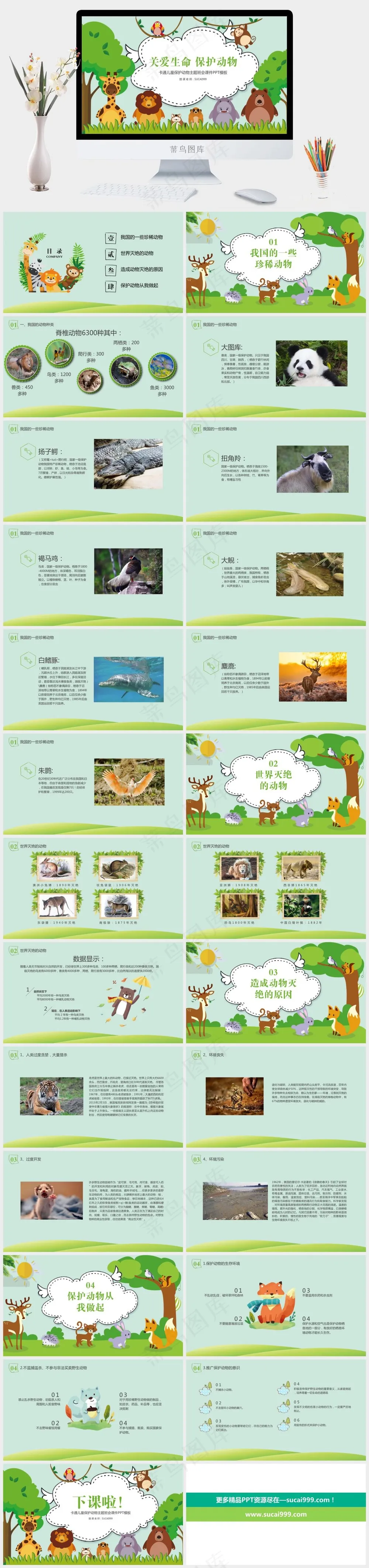保护野生动物生态环境保护PPT