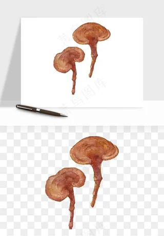 中药养生药材png免抠