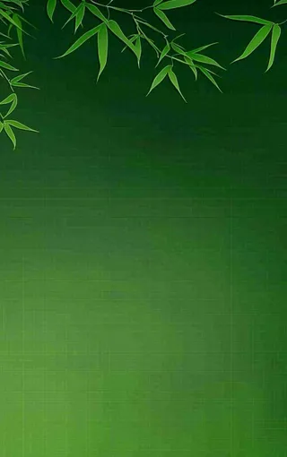 端午佳节竹子插画中国风绿色清雅静背景