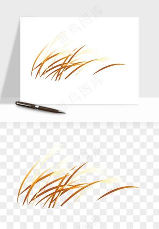 植物芦苇蒲苇香蒲png免抠