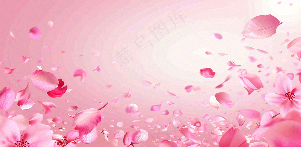 粉色樱花花瓣唯美妇女节春天摄影图