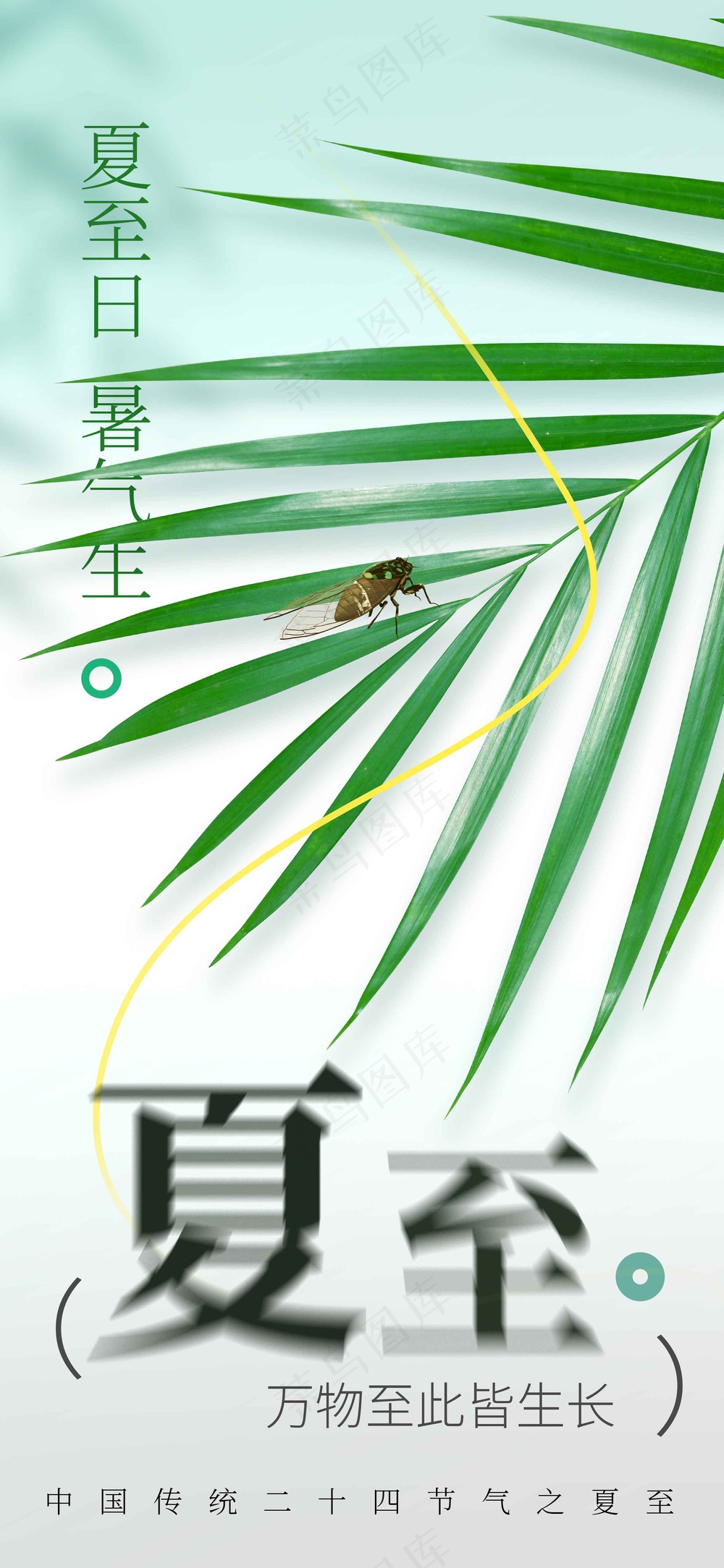 绿色简约夏至节气传统海报