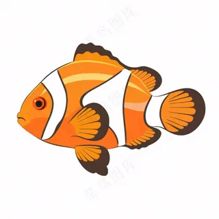 海洋鱼类海鲜卡通插画免抠
