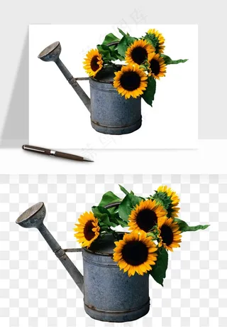 向日葵太阳花卉png免抠