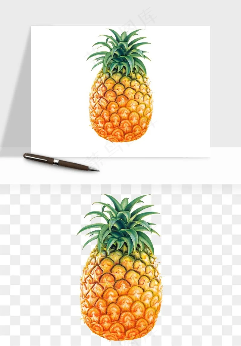 菠萝水果png免抠