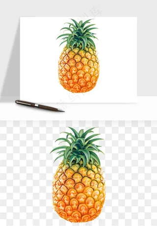 菠萝水果png免抠