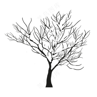 冬季落雪树木树枝枯枝PSD素材