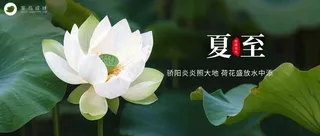 夏至公众号首图