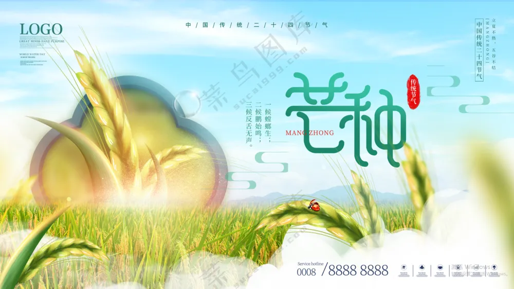 麦苗麦穗二十四节气 芒种