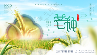 麦苗麦穗二十四节气 芒种