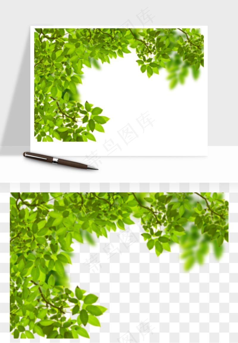 绿叶虚化前景树枝png免抠