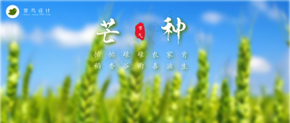 芒种公众号首图