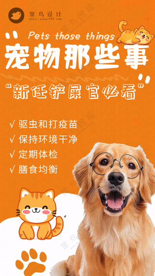 萌宠宠物宠物知识攻略常识手机海报