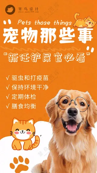 萌宠宠物宠物知识攻略常识手机海报