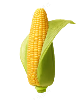 玉米透明素材
