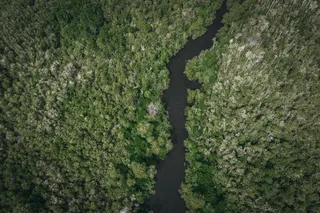 绿意盎然航拍图