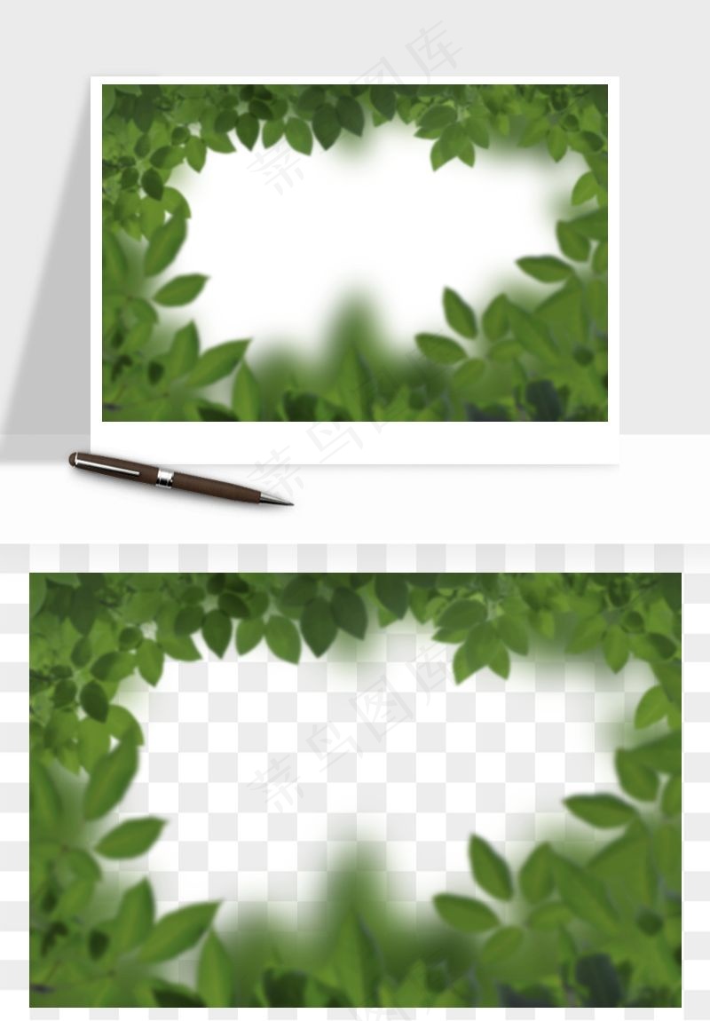 绿叶虚化前景树枝png免抠