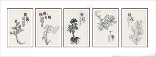 中草药挂画中草药广告设计海报