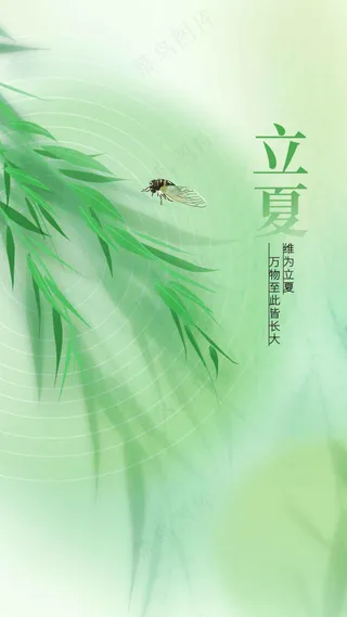 简约绿色立夏节气活动海报