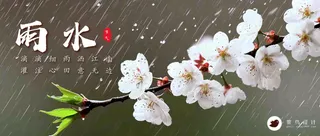 雨水公众号首图