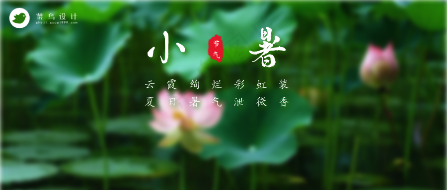 小暑公众号首图