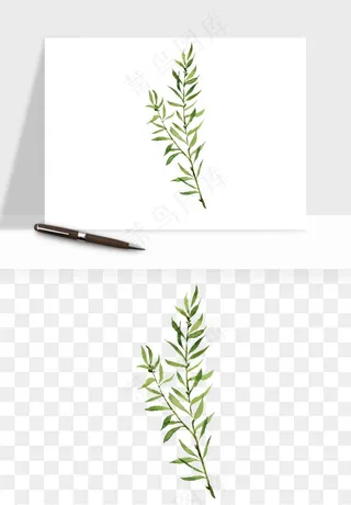 清新手绘植物png免抠